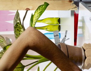 20120203095345_michele_abeles_Arm,Plant,Bottles,Wood072
