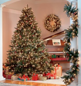 ef4b0__christmas_trees_hawthorne1