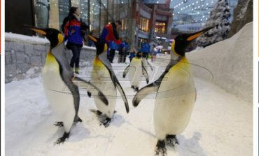 Ιατρική παρέμβαση στη Γερμανία: "Να περπατάτε σαν... πιγκουίνοι"!