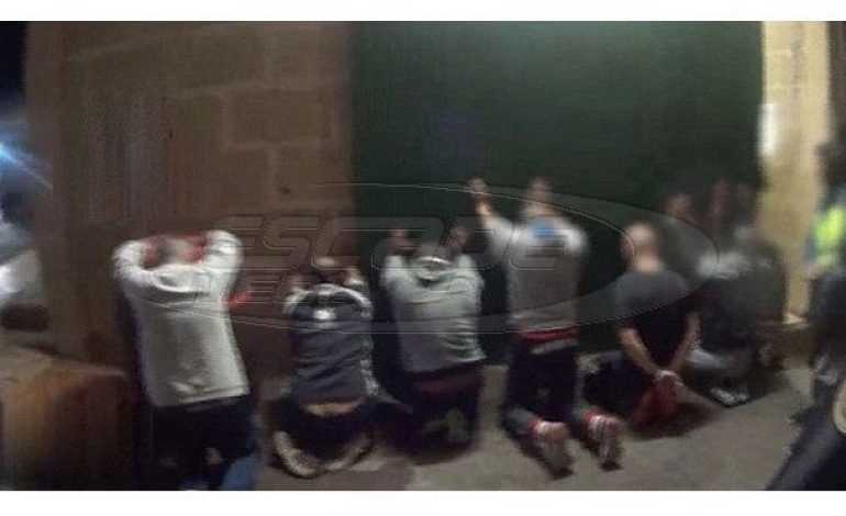 Η εισβολή αστυνομικών σε fight club ζώων που έσωσε 230 σκυλιά