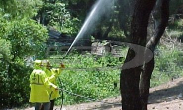 Στον... αέρα εφέτος το πρόγραμμα δακοκτονίας