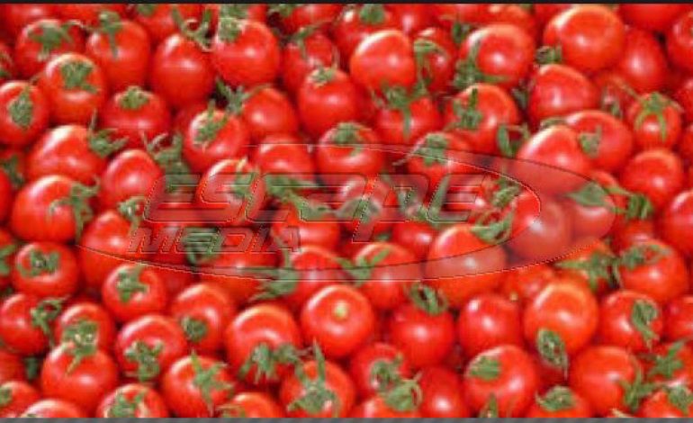 Δεσμεύτηκαν 890 κιλά ντομάτες Το προϊόν δεν έφερε την απαραίτητη σήμανση