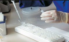 Θέμα χρόνου η δημιουργία τεχνητών ανθρώπινων εμβρύων