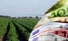 ΕΛΓΑ: Σήμερα οι αποζημιώσεις 7,5 εκατ. ευρώ στους δικαιούχους