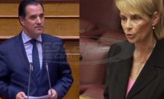 Συντροφικά μαχαιρώματα στη ΝΔ: Γιατί η Παπακώστα «κράζει» τον Γεωργιάδη