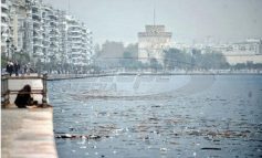 «Ο Θερμαϊκός πρέπει να καθαριστεί χωρίς άλλη καθυστέρηση»