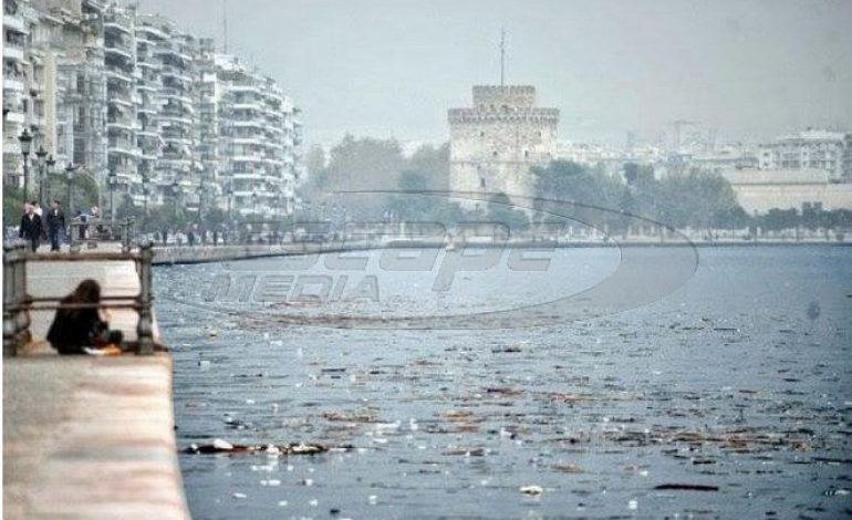 «Ο Θερμαϊκός πρέπει να καθαριστεί χωρίς άλλη καθυστέρηση»