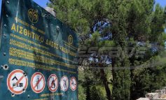Παράταση έως τις 27 Ιουλίου για αντιρρήσεις στους δασικούς χάρτες