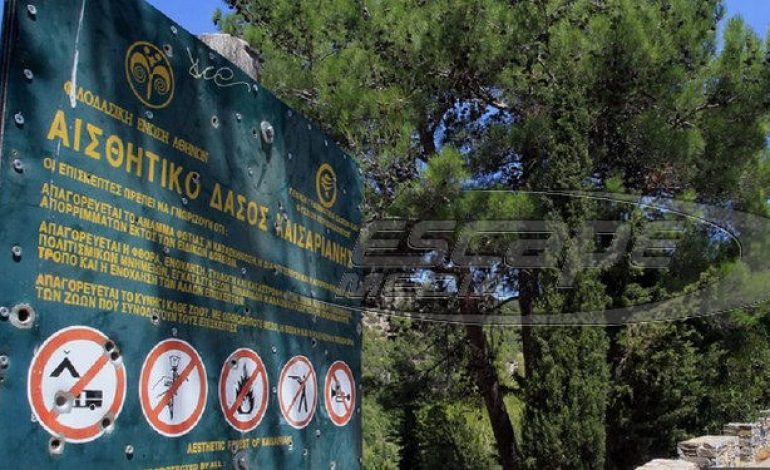 Παράταση έως τις 27 Ιουλίου για αντιρρήσεις στους δασικούς χάρτες
