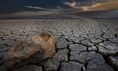 Η ύπουλη Αριστερά και η καταστροφή της παιδείας