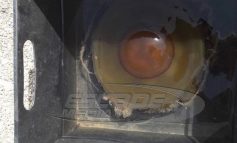 Τεράστιες μέδουσες εμφανίστηκαν και στην Κρήτη