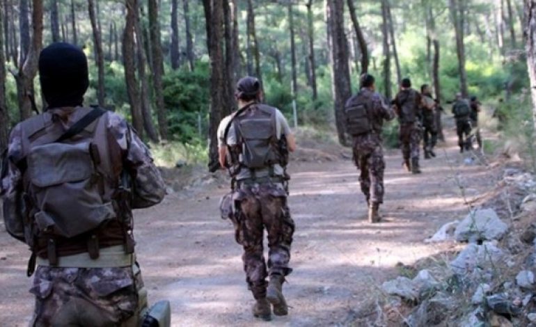 ΠΩΣ ΠΡΟΩΘΟΥΝΤΑΙ ΟΙ ΚΟΥΡΔΟΙ ΣΤΟ…ΑΙΓΑΙΟ!