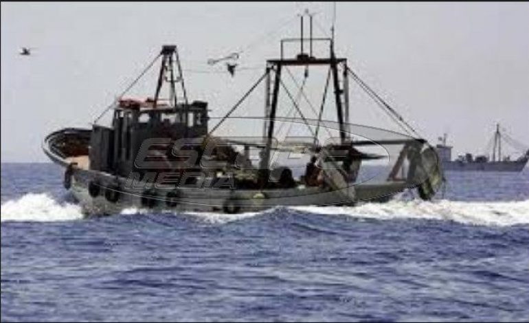 Αποστόλου: «Κανένα θέμα ασφάλειας των αλιευμάτων – Δεν πάνε οι ψαράδες στον Σαρωνικό»