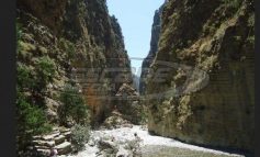 Το εύρημα στο φαράγγι της Σαμαριάς που έχει προκαλέσει παγκόσμιο επιστημονικό ενδιαφέρον