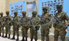 Πρόσληψη εθνοφυλάκων με ημερήσια αποζημίωση