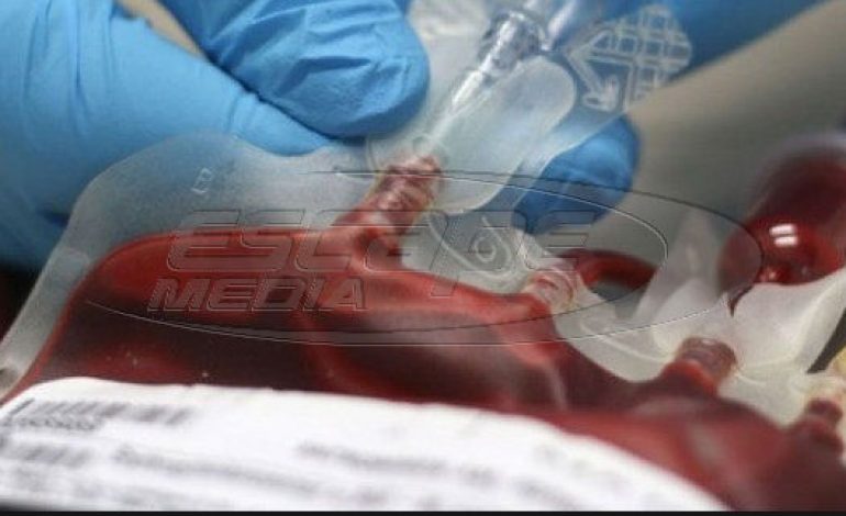 Έλληνες και Κύπριοι επιστήμονες «ανοίγουν τον δρόμο» για φάρμακο κατά της λευχαιμίας