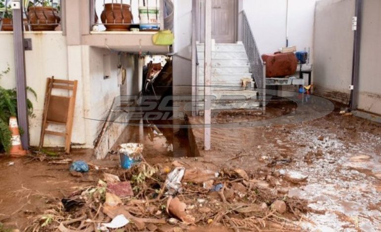 Πλιάτσικο στην Μάνδρα: Ρομά και αλλοδαποί κλέβουν ότι μπορεί να κλαπεί