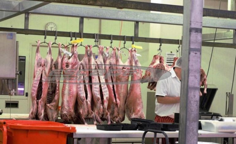 Τι να προσέξετε στην αγορά του πασχαλινού αρνιού