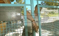 Τη Δευτέρα 16/4 η προκηρυξη του ΥΠΠΟ για τους 200 μονιμους Αρχαιοφυλακες
