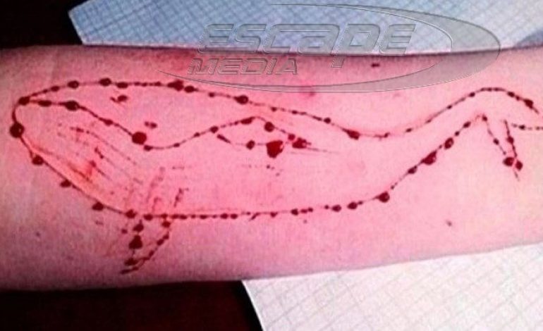 Μυτιλήνη: Έκκληση για αίμα στον 17χρονο- Πιθανό θύμα της «Μπλε Φάλαινας»