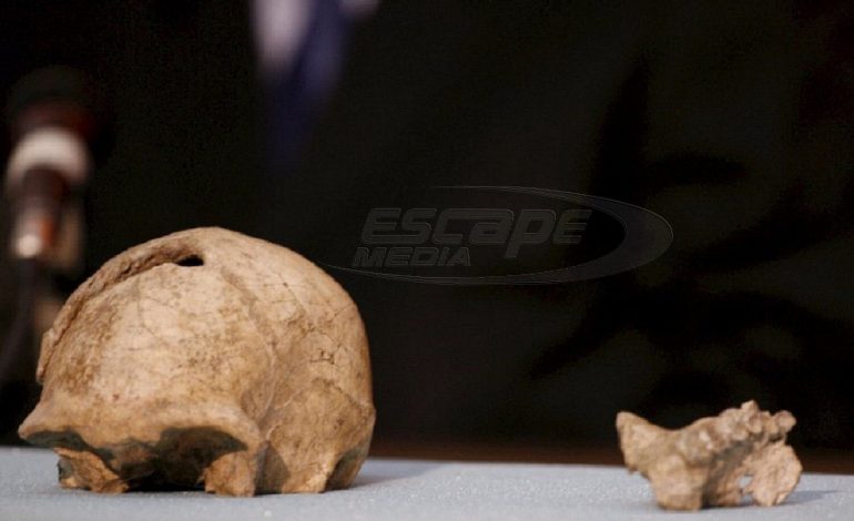 Εντοπίστηκε αρχαιοελληνικός θησαυρός 40 εκατ. ευρώ σε επιχείρηση Europol