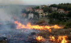Νέα στοιχεία για την φονική πυρκαγιά - «Ιδιώτης που έκαιγε κλαδιά ξεκίνησε την φωτιά»