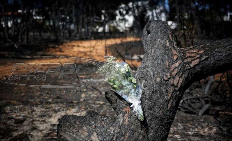 Κατέληξε η μητέρα του 6μηνου βρέφους της φονικής πυρκαγιάς στο Μάτι
