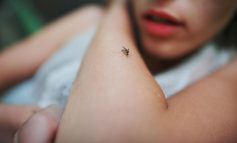 Κουνούπια: Ποιους «προτιμούν» και πώς θα αποφύγετε τα τσιμπήματα