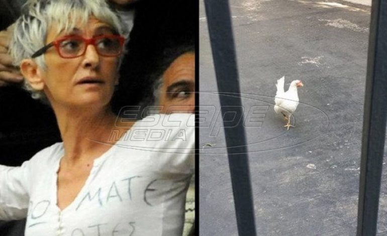 Η γυναίκα που πέταξε την κότα στο Μαξίμου θεωρείται επικίνδυνη για το πολίτευμα
