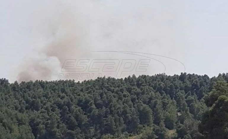 Φωτιά τώρα στην Εύβοια – Καίει δασική έκταση