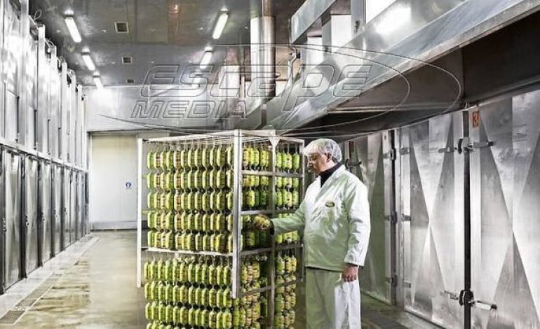 Creta Farms: Η 8ωρη μάχη της Κρήτης. Ποιος την κέρδισε
