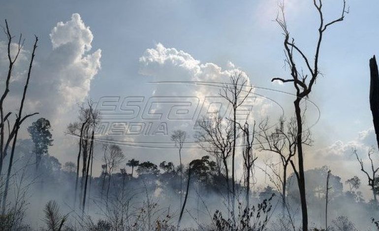Αμαζόνιος: Γιατί μάθαμε τώρα για τις φωτιές παρότι καίγεται εδώ και τρεις εβδομάδες