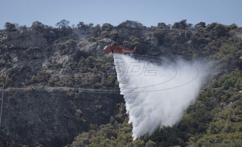 Πενήντα τρεις δασικές πυρκαγιές εκδηλώθηκαν το τελευταίο 24ωρο σε όλη την Ελλάδα