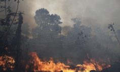 Παγκόσμια ανησυχία: Οι φλόγες συνεχίζουν να καίνε τον Αμαζόνιο