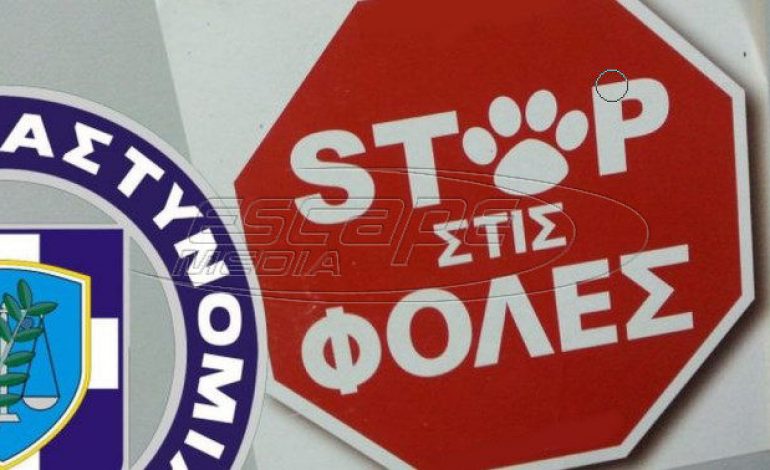 Σαβάλια: Πέταξε φόλες σε αυλή με παιδιά – Θανάτωσε δύο σκυλιά