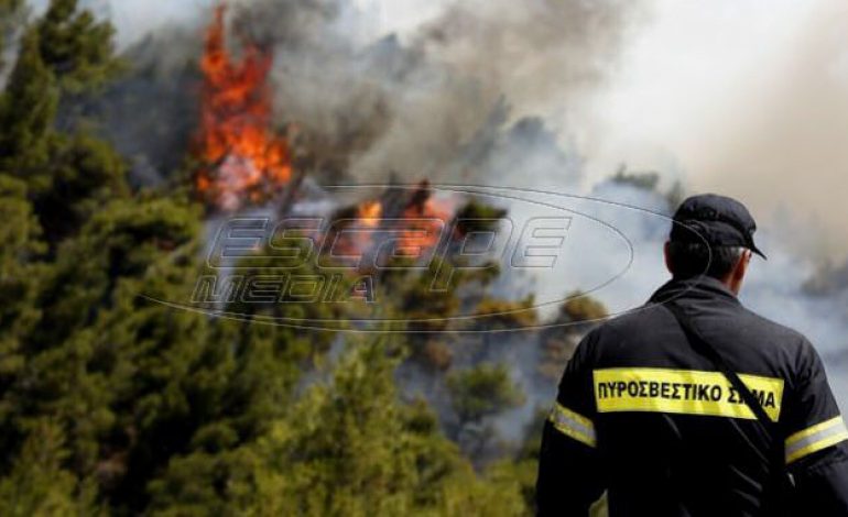 Φωτιές: Πάνω από 1000 πυροσβέστες “πολεμάνε” 56 δασικές πυρκαγιές