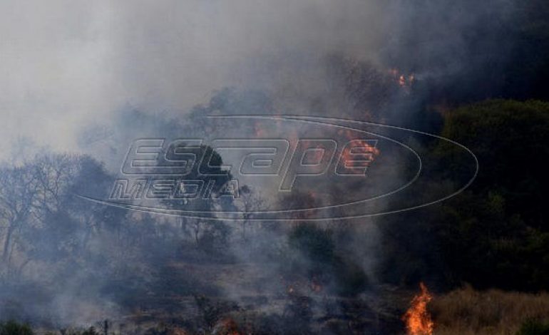 Ηλεία: Μαίνεται η πυρκαγιά σε τρία μέτωπα στις πλαγιές του Ερυμάνθου
