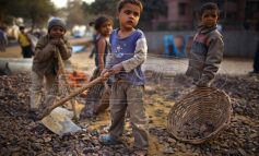 ΟΗΕ: Κίνδυνος για άνοδο της παιδικής εργασίας